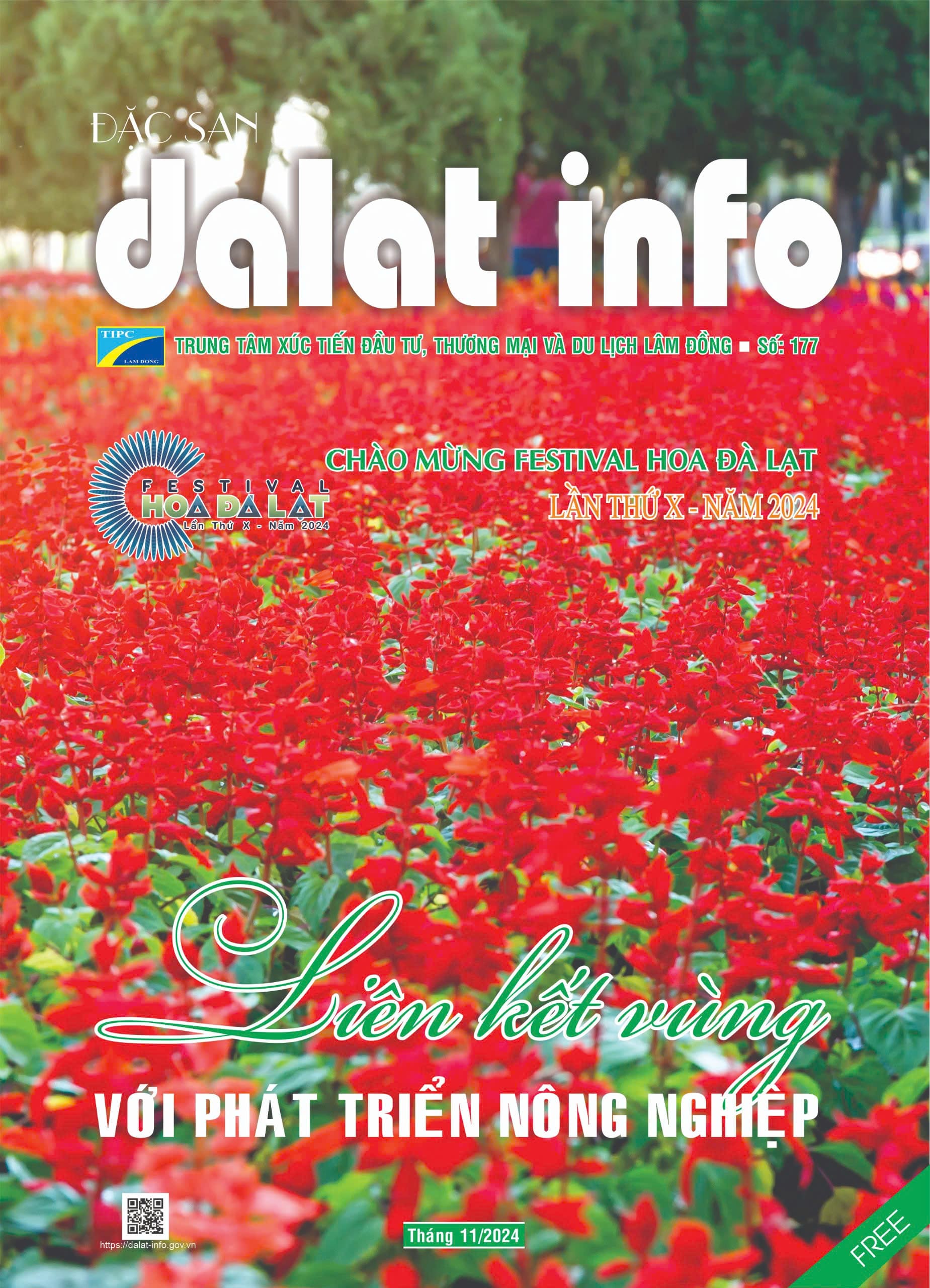 Đà Lạt Info