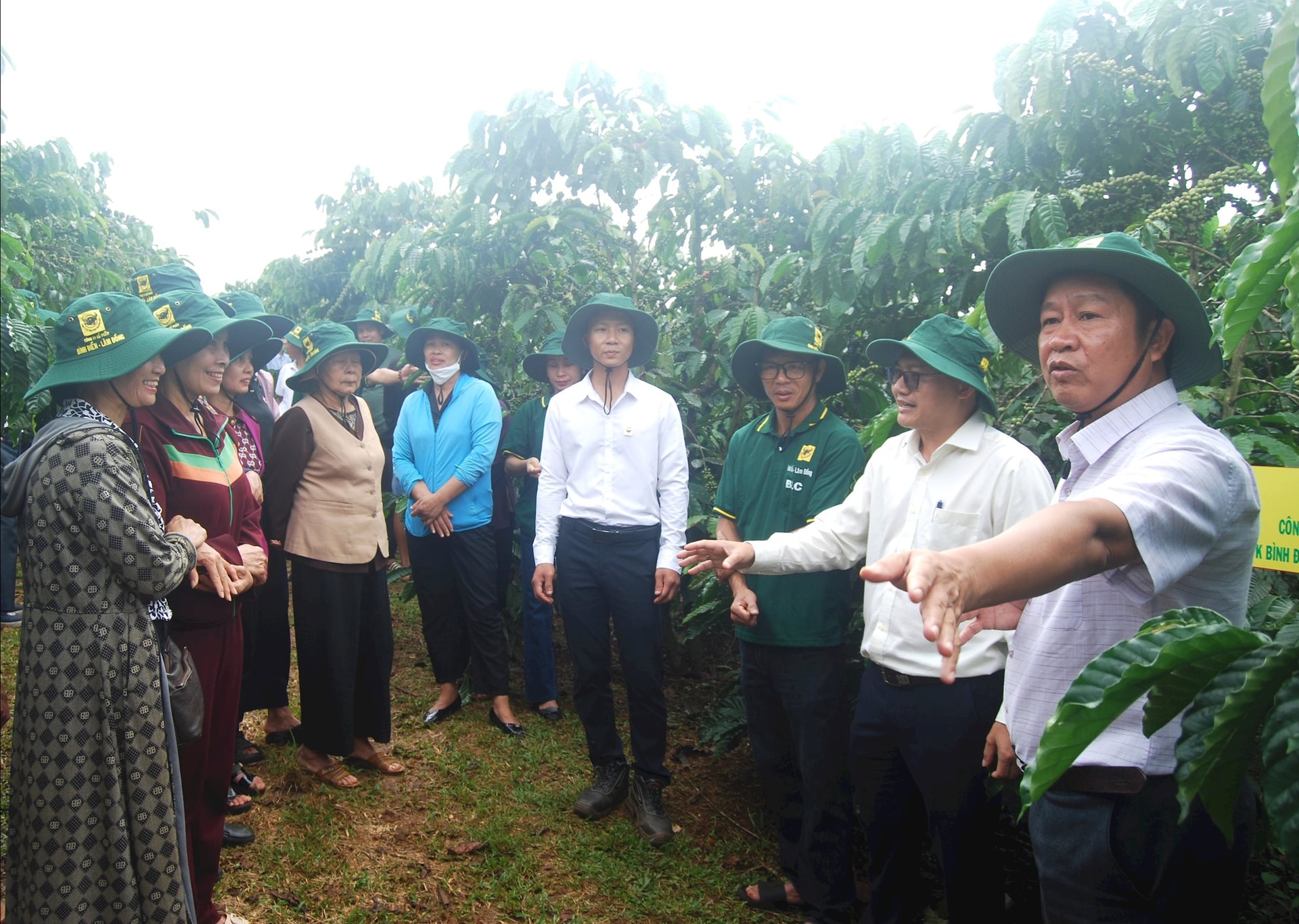 Hiệu quả từ mô hình canh tác cà phê thông minh ở Lâm Đồng