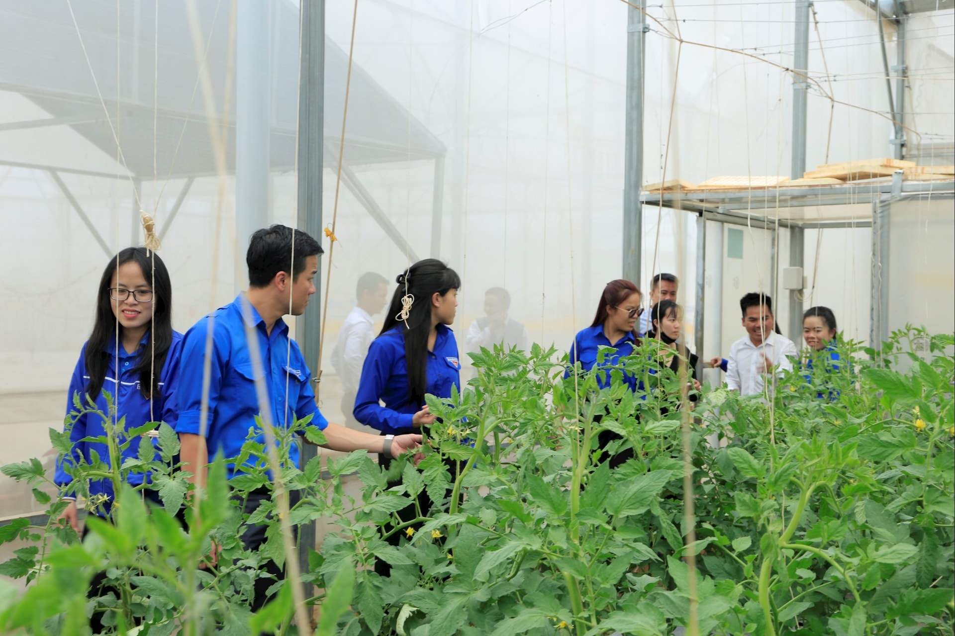 Lâm Ðồng xác định phát triển nông nghiệp hiện đại