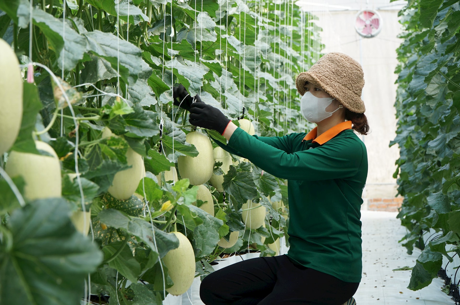 Kỳ vọng thành trung tâm nông nghiệp công nghệ cao Ðông Nam Á