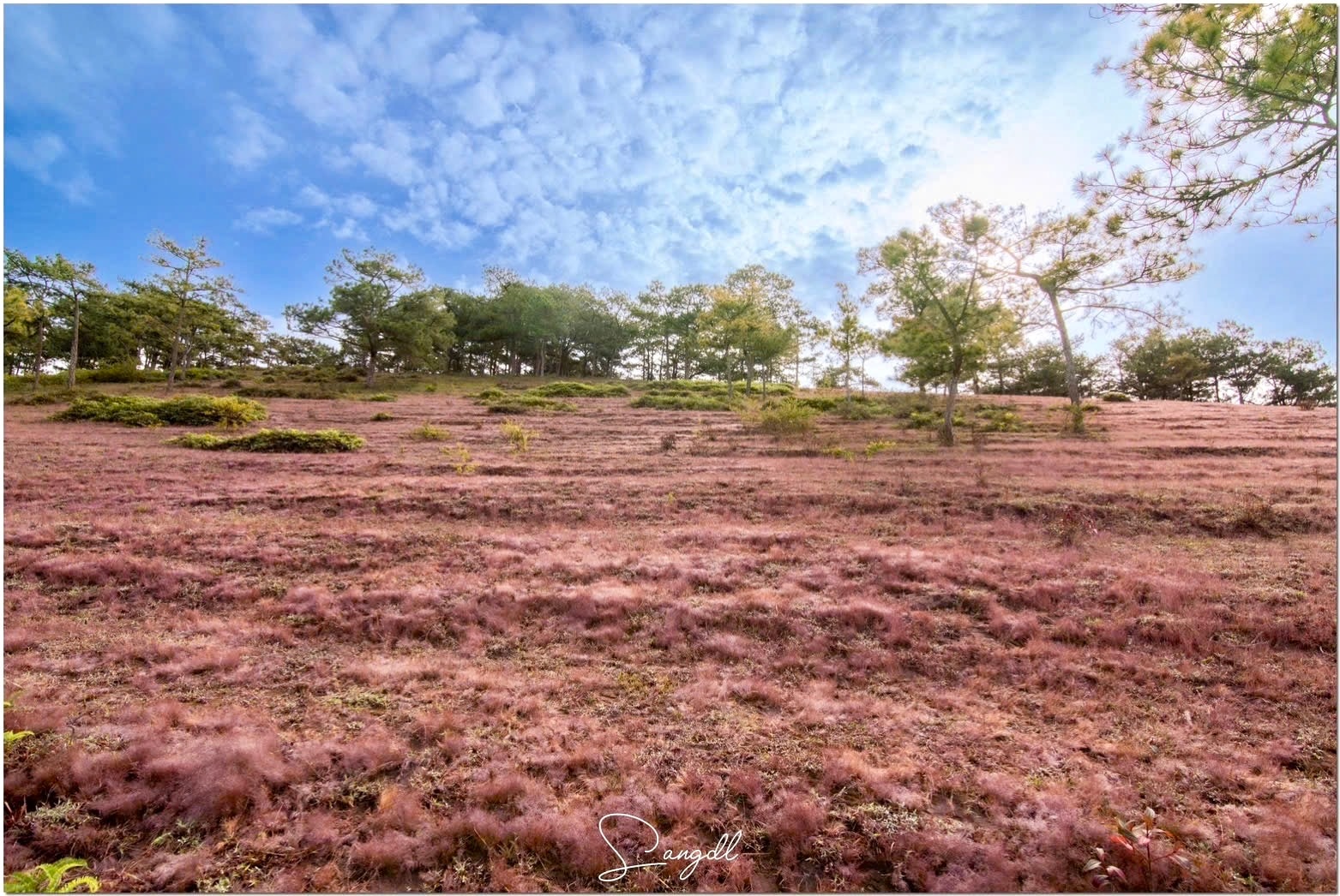 Quảng bá giá trị văn hóa truyền thống, xây dựng sản phẩm du lịch đặc trưng