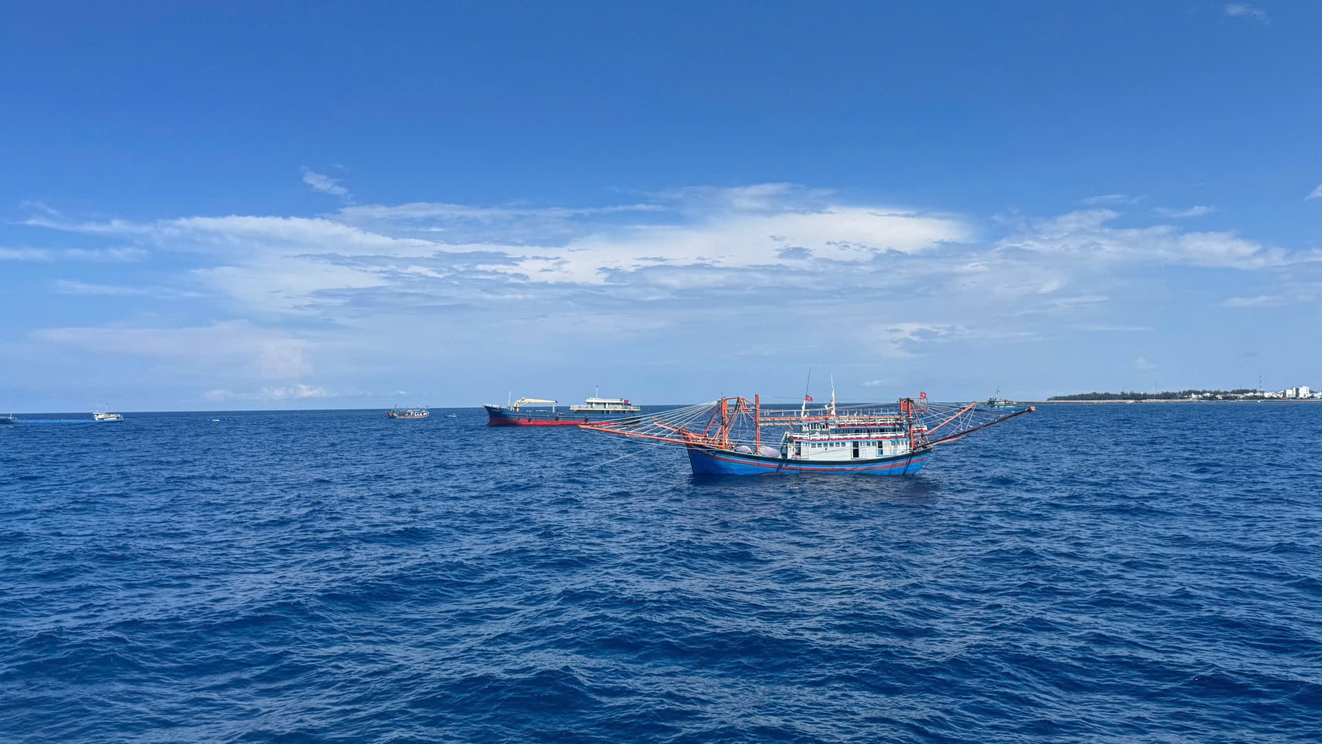 Vùng biển Phú Quý xuất hiện đàn cá voi bơi lội