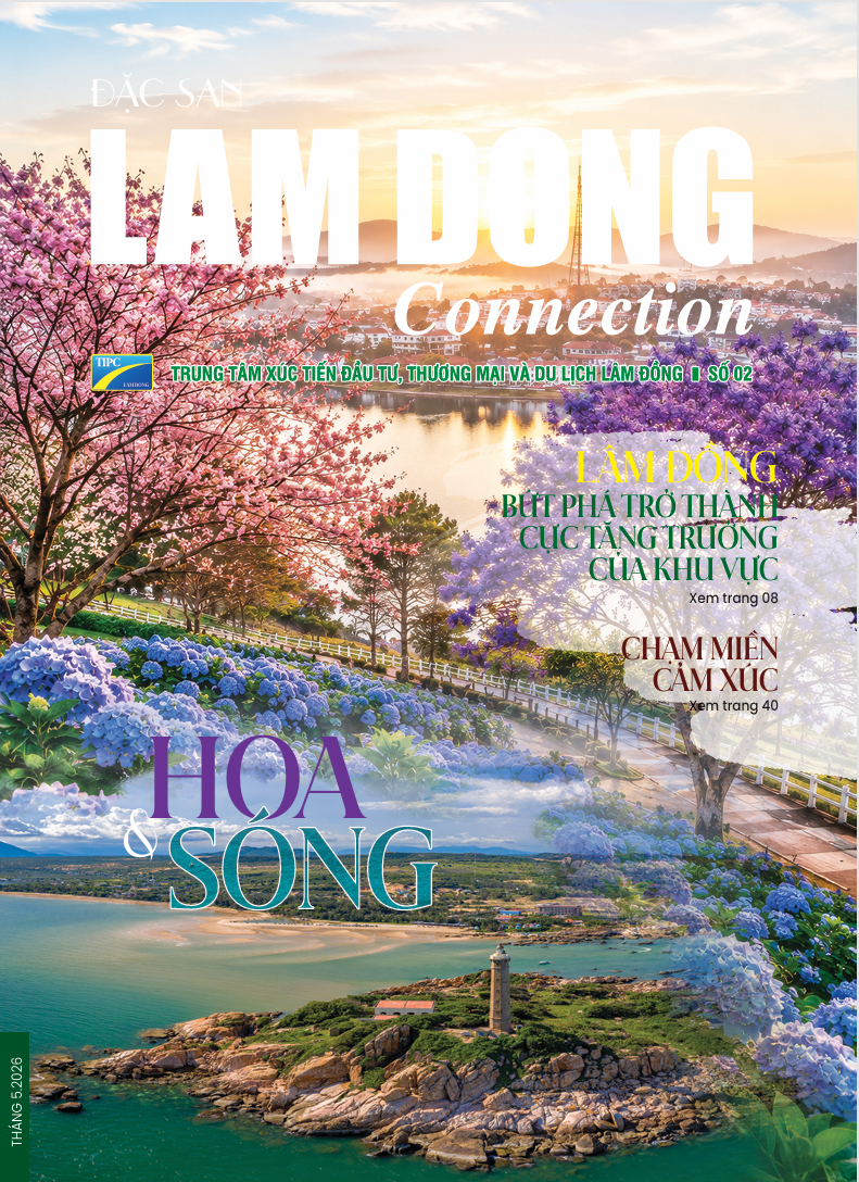 lamdongconnection