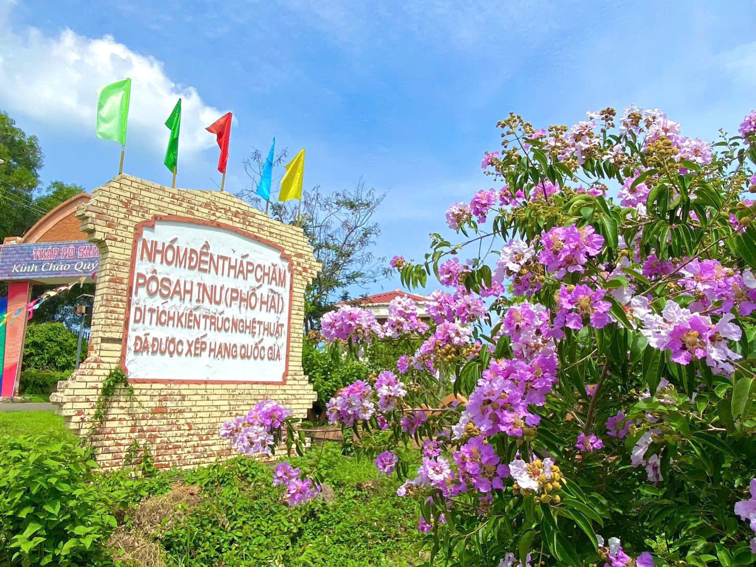 Sắc tím bằng lăng dưới chân tháp cổ làm say lòng du khách
