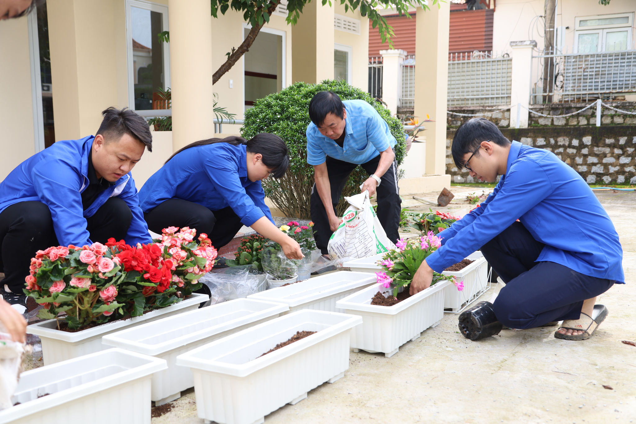 Sức trẻ Lâm Đồng hòa cùng Festival Hoa Đà Lạt 2026