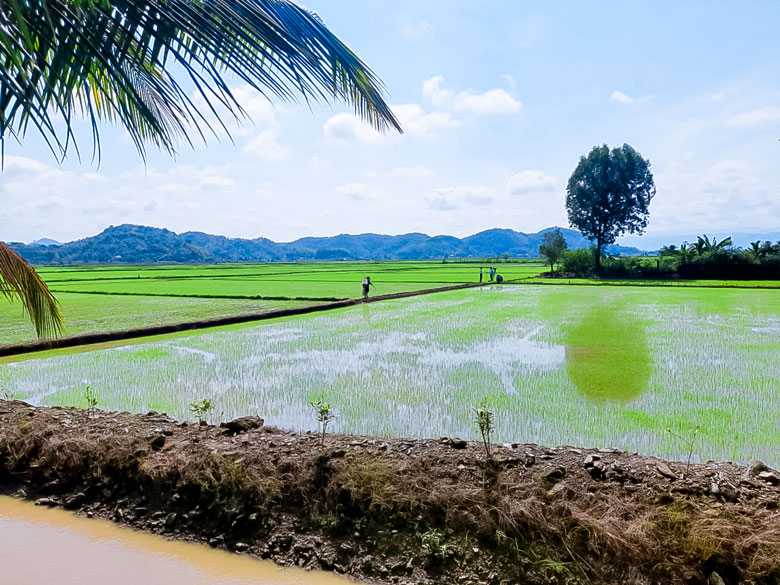 ''Tiêu chuẩn kép'' về nông thôn mới ở An Nhơn