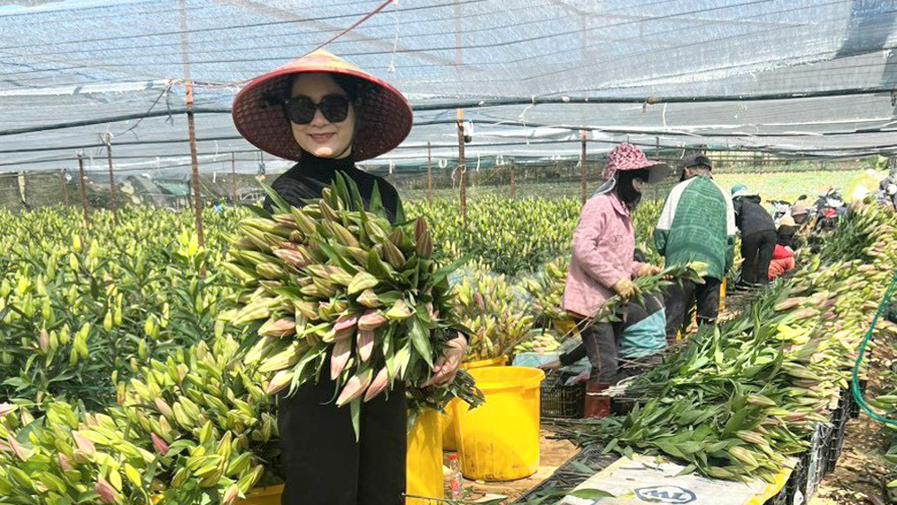 Năm bứt phá của ngành Nông nghiệp Lâm Đồng