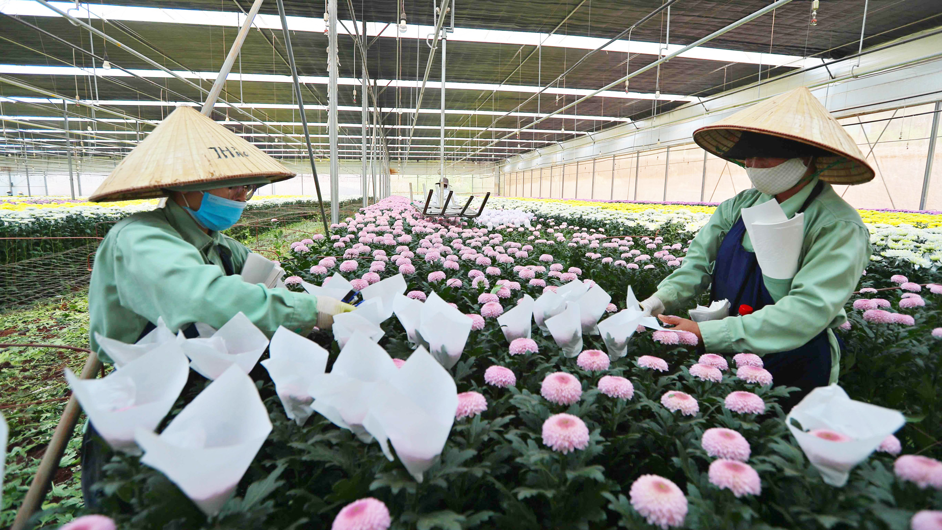 Tăng năng lực xuất khẩu cho nông sản Lâm Đồng